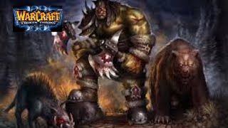 Warcraft 3 Bonus Campaign Rexxar Act 1  To Tame A Land [upl. by Nospmas]