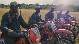 Antipoaching units protecting wildlife in The Zambezi Delta [upl. by Rimhsak83]