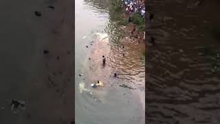 Bus accident Thalassery  Peringathur  Kerala [upl. by Ume810]