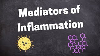 Chemical Mediators of Inflammation [upl. by Eimmis]