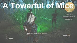 Use the Magic Lamp to Find Ghosts  A Towerful of Mice  The Witcher 3 Wild Hunt [upl. by Featherstone870]