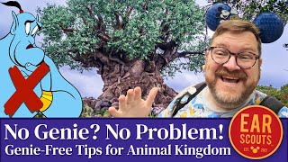 No Genie No Problem How to Do Everything at Animal Kingdom Without Fancy Perks at Disney World [upl. by Beal648]