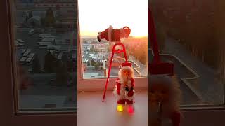 ladder santa christmascharacter santa christmas santaclaus funny noel [upl. by Mariquilla]