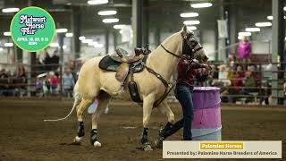 Gorgeous Palomino Horses at Midwest Horse Fair [upl. by Sremlahc]