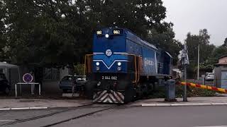 TŽV Gredelj 2044002 ON COPPER WHILE PASSINGG THROUGH CITY OF Niš EARLY IN THE MORNING  07102024 [upl. by Enelam397]