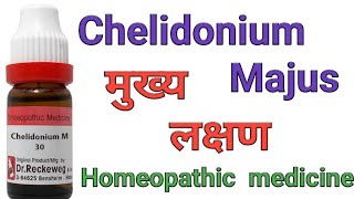 Chelidonium Majus q homeopathic medicine symptoms amp uses in hindi [upl. by Naltiac682]