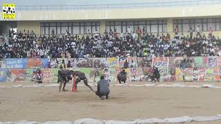 BETON ARME VS THIATOU NGUEWEUL J7 SAMEDI 9 NOVEMBRE 2024 MBOUSNAKH PROD A L ARENE NATIONAL 1 [upl. by Annanhoj648]