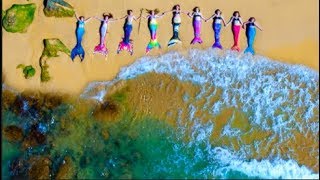 Pod Of Mermaids Caught By Drone [upl. by Almena169]