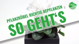 Pflanzkübel richtig bepflanzen  Die richtige Drainage So geht´s [upl. by Notlrac]