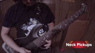 Schecter Damien Platinum 8 string vs Damien Elite 8 String [upl. by Paver]