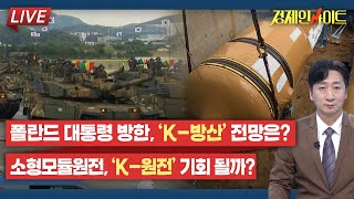 216회 방산 수출 큰손 ‘폴란드’ 두다 대통령 방한 경제적 기대 효과와 ‘K방산’ 전망은경제 인사이트 [upl. by Noah]