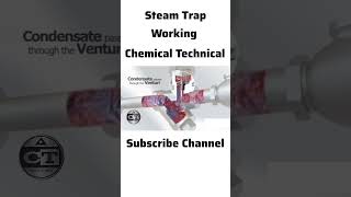 Steam Trap Working Principle l What is Steam Trap l Steam Trap l Steam Trap Working [upl. by Krenek]