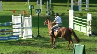 ♥ Pirate Andalou jumping horse by Nabab de Reve [upl. by Xyno]