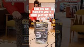 Lets clean the rug and velvet sofa with SharkHome Carpet Xpert Cleaner Watch to the end [upl. by Anitsuj210]