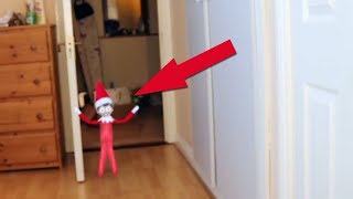 TOP 5 THE ELF ON THE SHELF VIDEOS 🎄Elf on the Shelf CALLING VIDEOS [upl. by Llenhoj]