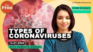 What are the different strains of human coronaviruses [upl. by Noval644]