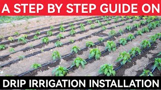 How to Install Drip Irrigation For Open Field Farming [upl. by Ris]