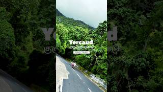 Yercaud Climate Today  Yercaud tourist places to visit [upl. by Adle47]