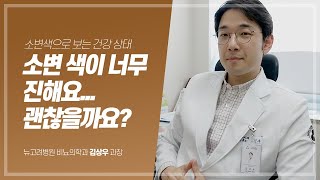 소변색깔이진해요 소변색깔 갈색일 때 혈뇨 증상 의심질환 ㅣ 김포비뇨기과 뉴고려병원 [upl. by Orpha]