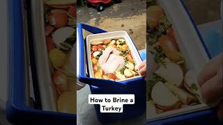 How to Brine a Turkey [upl. by Aynna]