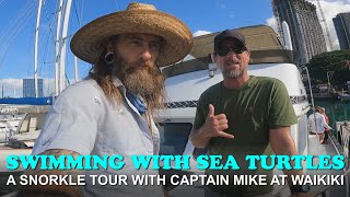 Swimming with Hawaiian Sea Turtles off of Waikiki Beach with Captain Mike [upl. by Nosnhoj]