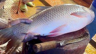 Amazing Cutting Skills  Giant Rohu Fish Cutting Skills By Expert Fish Cutter [upl. by Eitsirk]