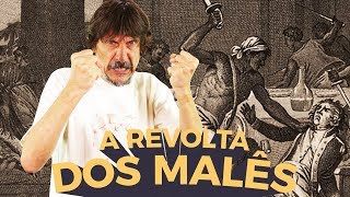 A REVOLTA DOS MALÊS  EDUARDO BUENO [upl. by Bendick]