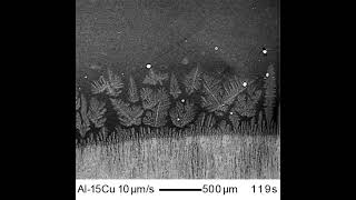 Nucleation and fragmentation of dendrites in AlCu [upl. by Hendrik217]