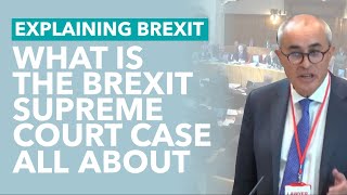 The Brexit Supreme Court Case Explained  Brexit Explained [upl. by Elsie]