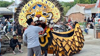 Barongan Sekar Mulya Jaya Mbabar Di Rumah Pak Lurah Tambakan Gubug [upl. by Eilloh]