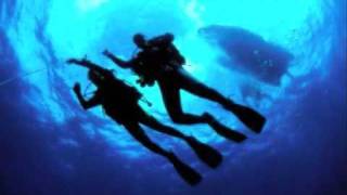 Beautiful Scuba Diving in Setúbal Portugal [upl. by Nave]