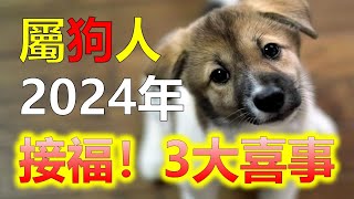 2024生肖運勢，十二生肖屬狗2024年三大喜事，分別是什麼喜事，2024年，屬狗的朋友衝太歲，運勢相比其他生肖低迷許多，十二生肖當中，許多屬相的命運會迎來全新的變化，屬狗雖然在2024年運勢不好 [upl. by Ramad457]