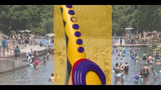 Barton Springs Pool Austin TX  May 18 2024 [upl. by Golda]