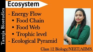 Ecosystem  Energy Flow  Ecological Pyramid  Food Chain Food Web  GFCDFC Class 12 BiologyNEET [upl. by Modern236]