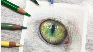 How to Draw Green Cat Eyes in COLORED PENCIL [upl. by Anilef]