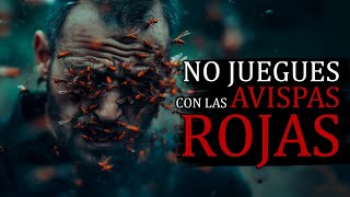 NO juegues con las AVISPAS ROJAS  Creepypasta [upl. by Tyre]