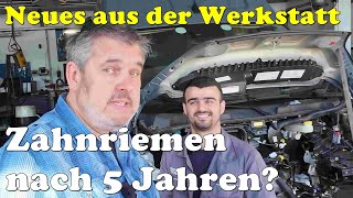 Wirklich nötig Nach 5 Jahren FIAT Ducato Zahnriemenwechsel und maximale Kilometerstände [upl. by Allred694]