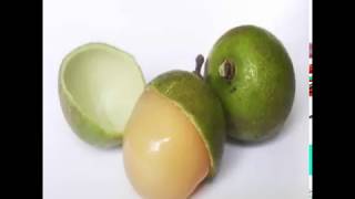 The Health Benefits of the Guinep Fruit amp how to it eat [upl. by Nyloj]