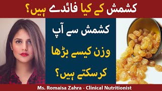 Kishmish Kay Fayde  Kishmish Khane Ke Fayde  Health Benefits Of Raisins in UrduHindi [upl. by Nolaf]