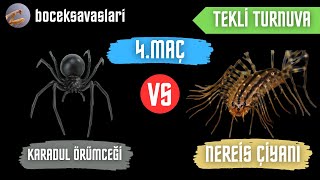 TEKLİ TURNUVA  KARADUL ÖRÜMCEĞİ VS NEREİS ÇİYANI  4MAÇ [upl. by Erdnaid386]