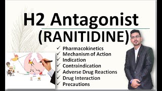 H2 Antagonist Ranitidine [upl. by Laiceps823]