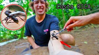 STUNG by a BULLET ANT 8 TIMES Worlds strongest insect sting [upl. by Duester]