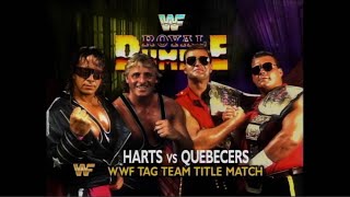 Story of Bret Hart vs Owen Hart  Royal Rumble 1994 [upl. by Aer651]