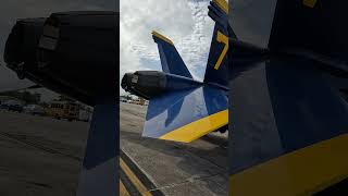 Blue Angels are huge Pensacola air show [upl. by Ralyks]