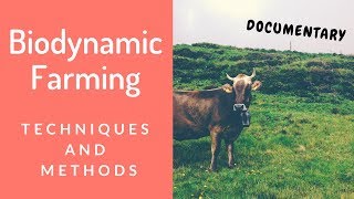 Documentary Biodynamic Farming Techniques amp Methods Explained [upl. by Guss26]