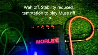 Morley PWV Wah modded by Otalgia FX [upl. by Sell434]