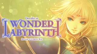 Deedlit in Wonder Labyrinth All Hidden Rooms 100 map [upl. by Ydnys518]