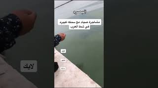 fاكسبلور fishing funny food صيد سمك [upl. by Eastman176]