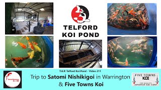 TKP Telford Koi Pond  Video 211  Trip to SATOMI NISHIKIGOI in Warrington amp Five Towns Koi koi [upl. by Marty840]