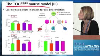 New Mouse Models of MDS [upl. by Iadahs]